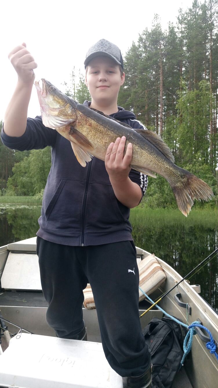 









































Matin kuha 4,5 kg Pielisjoelta Enonkyl&auml;n alueelta